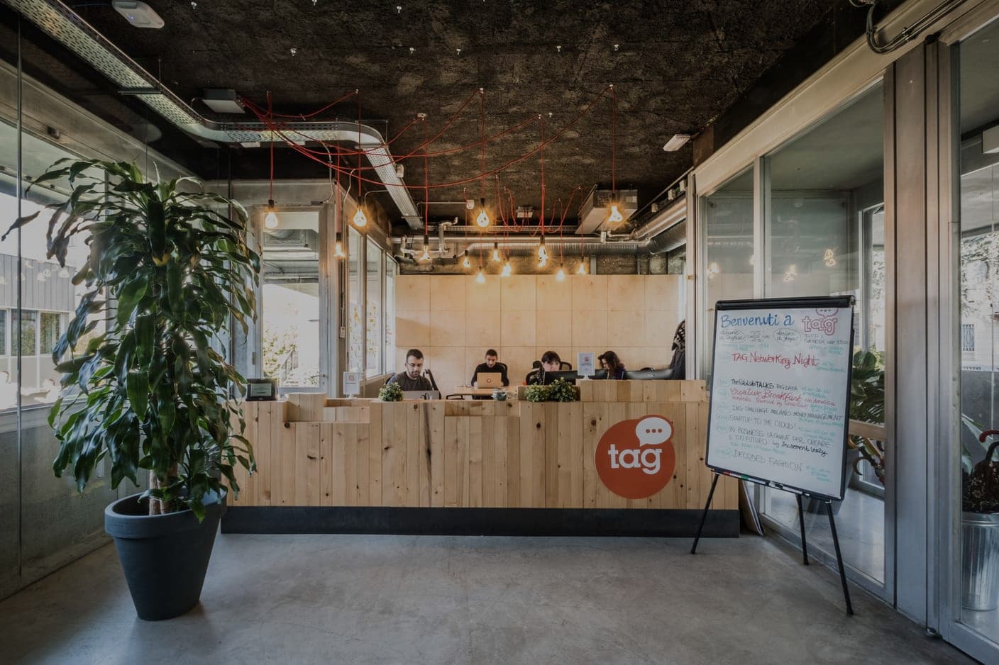 Vite e connessioni, l'abete protagonista di Talent Garden Calabiana